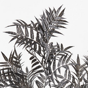 Ronis Palm Areca Spray Licorice 76cml