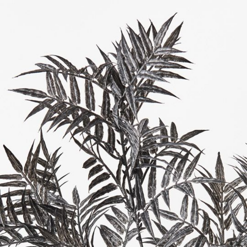 Ronis Palm Areca Spray Licorice 76cml