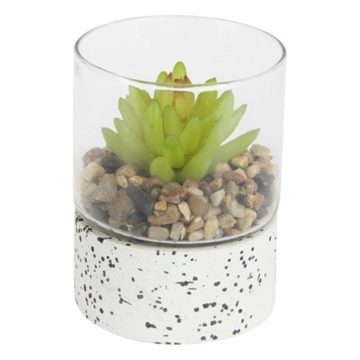 Ronis Pebblecrete Glass Vase with Succulent 11cm