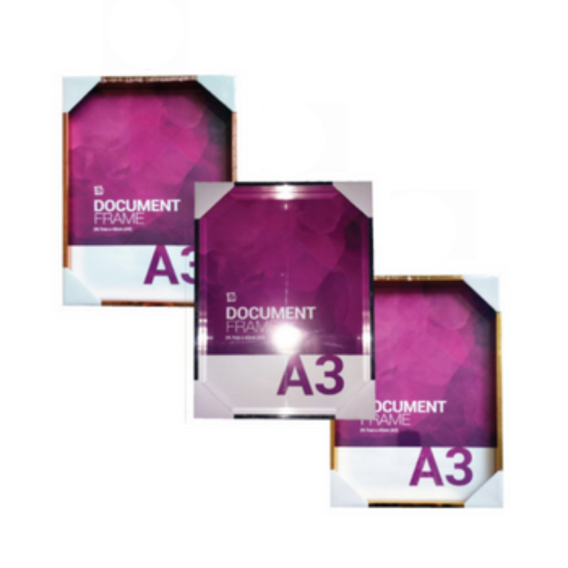 Ronis Photo Frame Quinn Metallic Box Frame 29.7cmx42cm Assorted