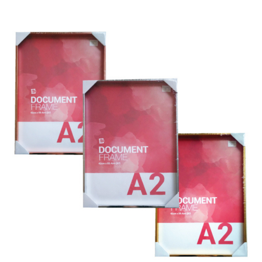 Quinn metallic box frame 42x59.4cm assorted A2 deep profile frame for posters and wall art