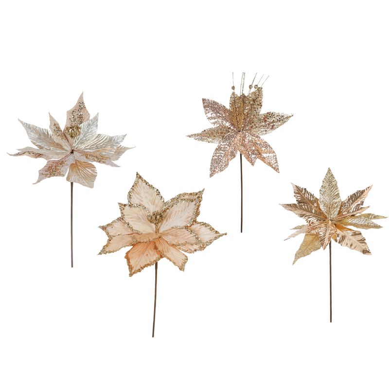Ronis Poinsettia Champagne Mix 30cm Assorted