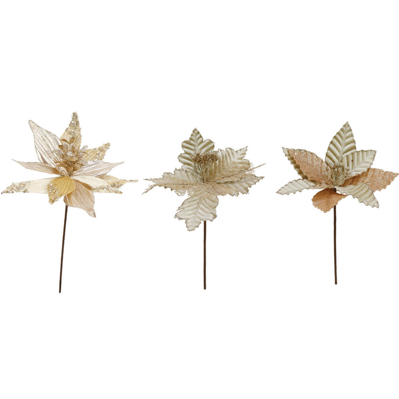 Ronis Poinsettia Velvet 25-30cm Champagne Mix