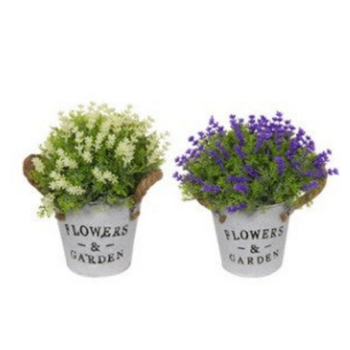Ronis Potted Flowers with Rope Handle 19cm Assorted