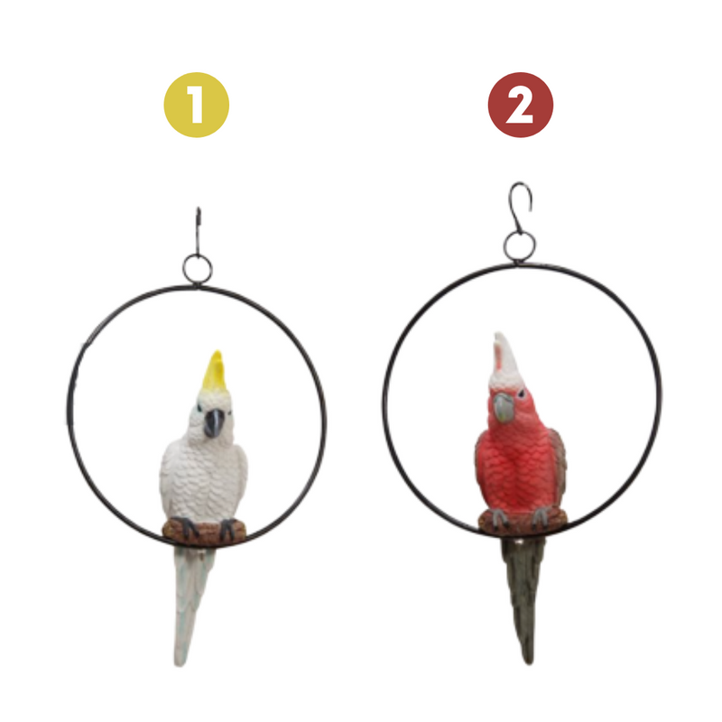 Galah/Cockatoo in 20cm Ring 2 Assorted 26cm