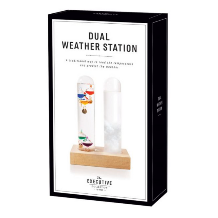 IS Gift Dual Weather Station