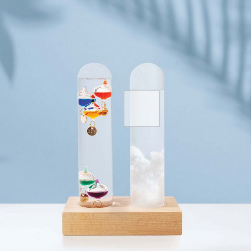 Dual Weather Station