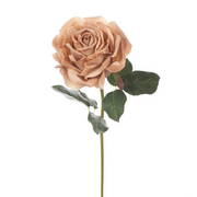 Ronis Rose Bella Coffee 37cml