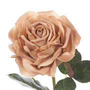 Ronis Rose Bella Coffee 37cml