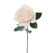 Ronis Rose Bella Ivory 37cml