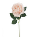 Ronis Rose Bella Soft Pink 37cml