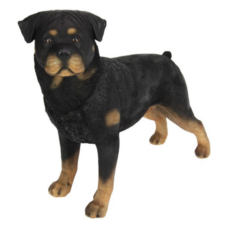 Ronis Rottweiler Dog Standing Black 38x30cm