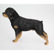 Ronis Rottweiler Dog Standing Black 38x30cm – thumbnail