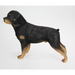 Ronis Rottweiler Dog Standing Black 38x30cm