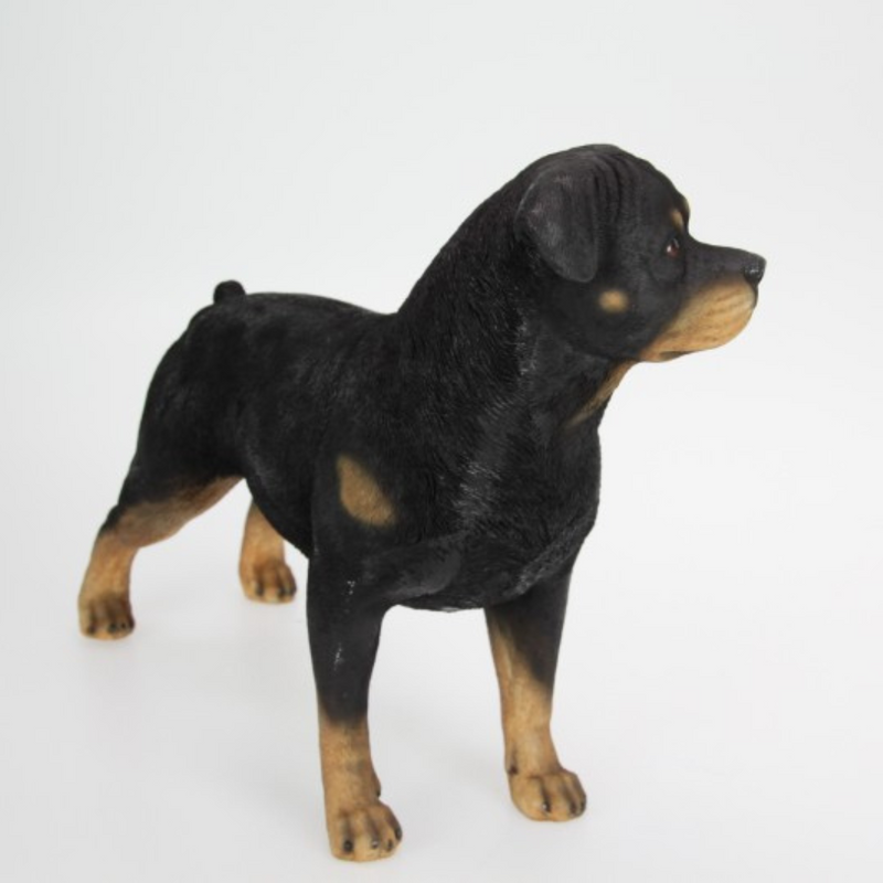 Ronis Rottweiler Dog Standing Black 38x30cm