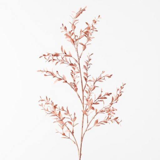 Ronis Ruscus Spray Dusty Pink 73cml