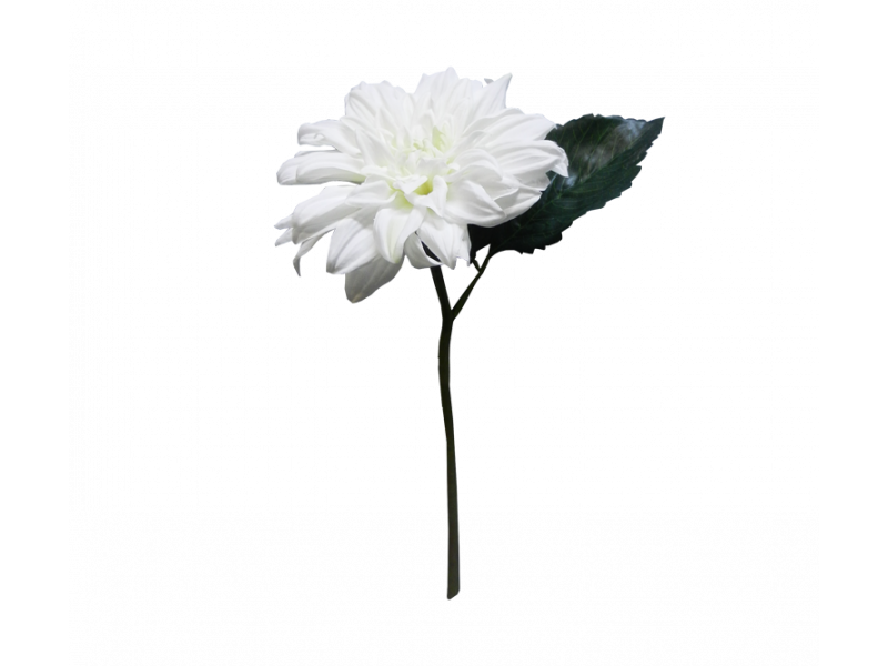 Dahlia White (28cm)