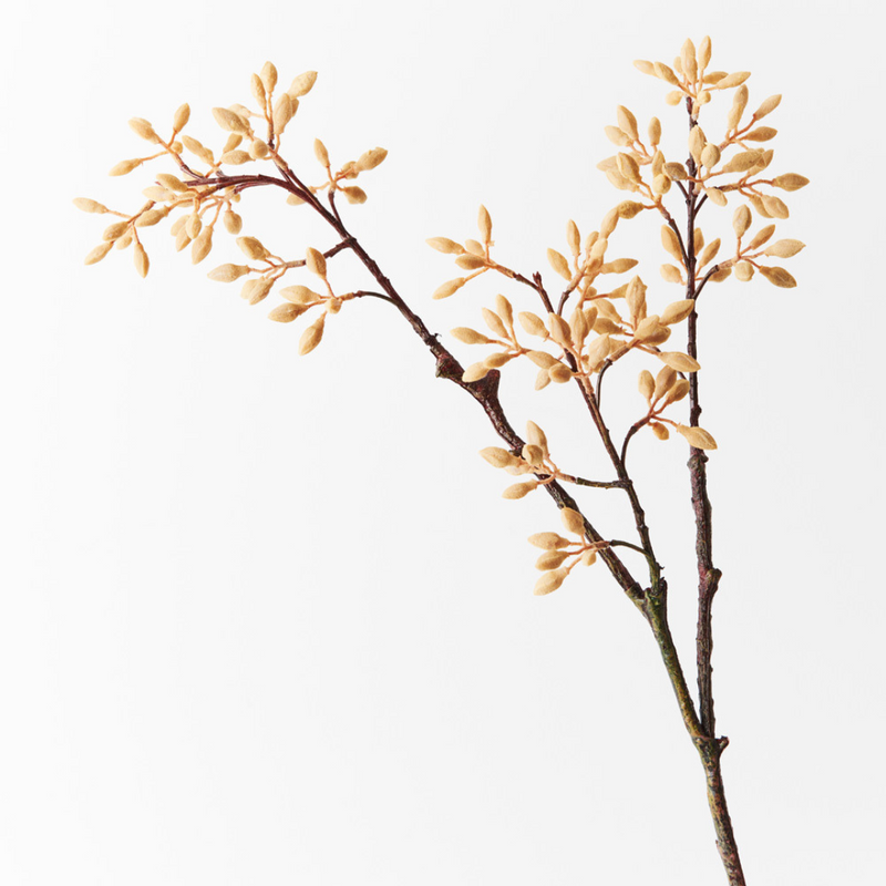 Ronis Simplex Seed Spray Natural 70cml