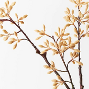 Ronis Simplex Seed Spray Natural 70cml