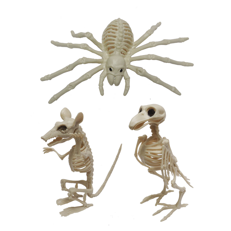 Ronis Skeleton Animal 20cm 3 Asstd