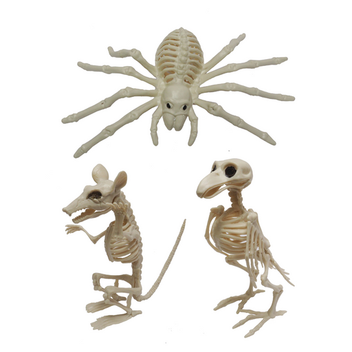 Ronis Skeleton Animal 20cm 3 Asstd