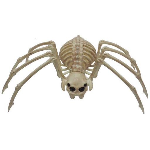 Ronis Skeleton Wolf Spider 37cm