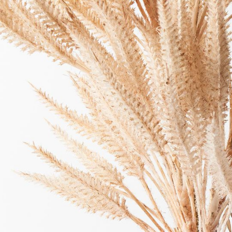 Ronis Sorghum Spray Cream 76cml