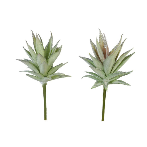 Ronis Succulent Pick 19cm Assorted