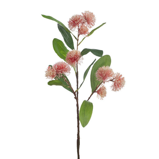 Ronis Sweet Gum Blossom Pink 71cml