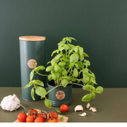 Ronis Typhoon Living Cookies Store 3.4L Green – thumbnail