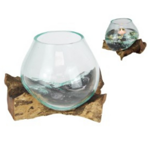 Ronis Unique Hand Blown Glass Fish Bowl Terrarium on Natural Driftwood 17x15cm