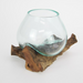 Ronis Unique Hand Blown Glass Fish Bowl Terrarium on Natural Driftwood 17x15cm