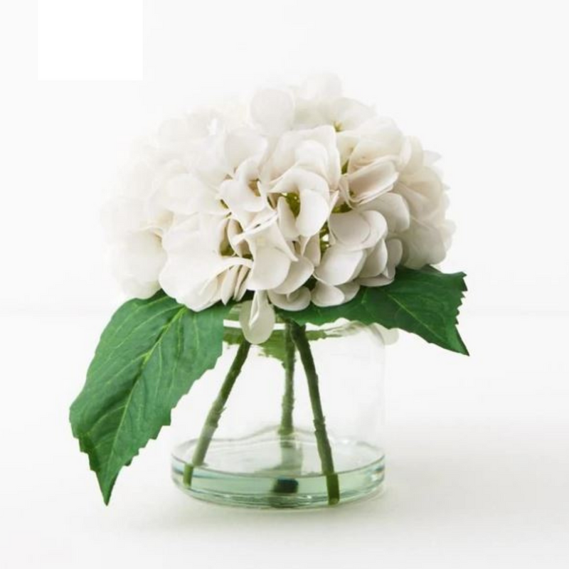 Hydrangea Mix in Vase Winter White 21cmh