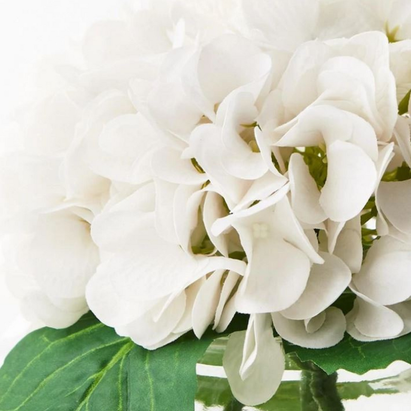 Hydrangea Mix in Vase Winter White 21cmh