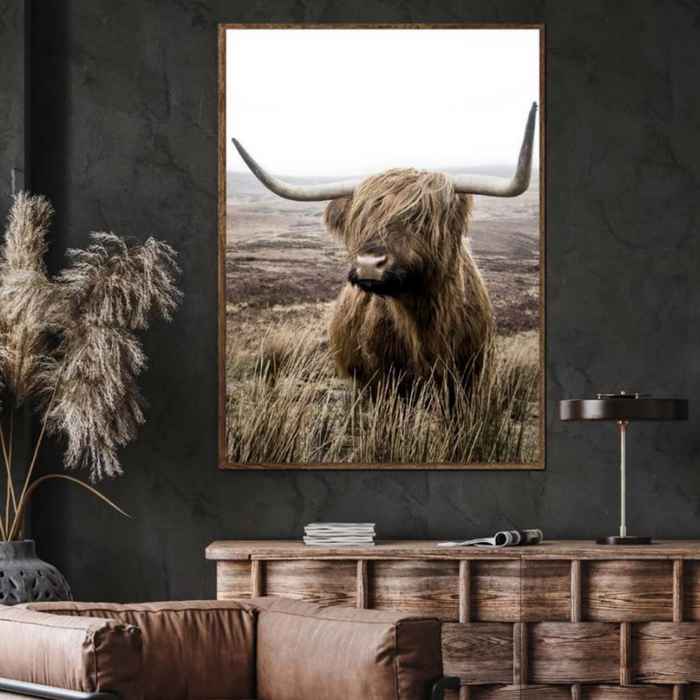 Framed Canvas Highland Horns 100x140cm