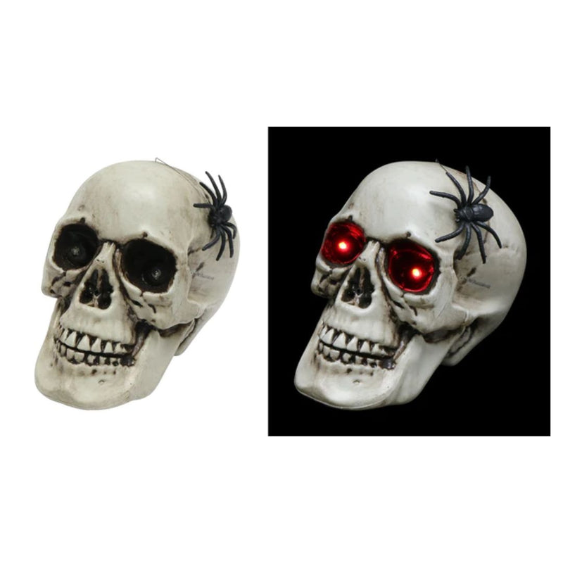 Skull with Moving Spider 22cm