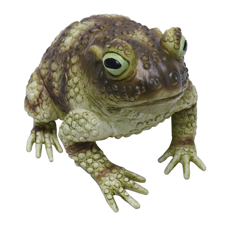 Jumbo Toad 25cm