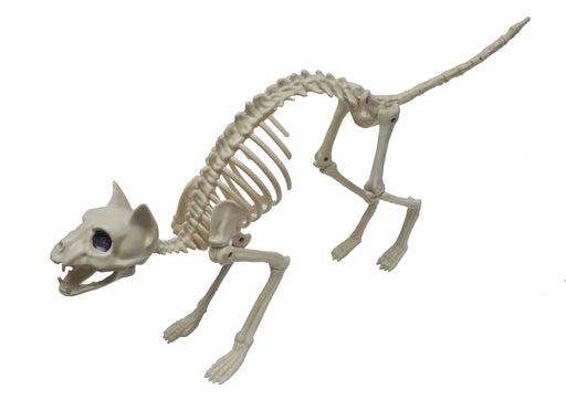 Skeleton Cat 58cm