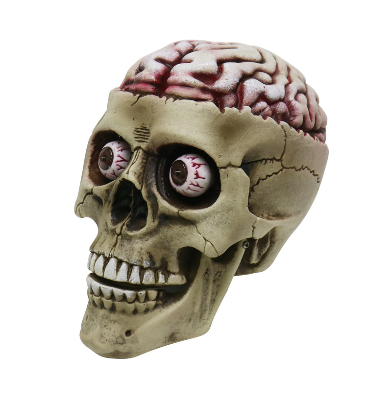 Skull With Exposed Brain