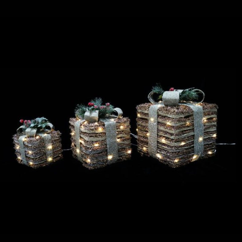 LED 3D Pine Berry Presents Set of 3