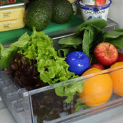 Bluapple One Year Refill Retail Kit