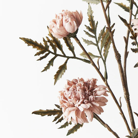 Chrysanthemum Celeste Spray Dusty Pink 61cml