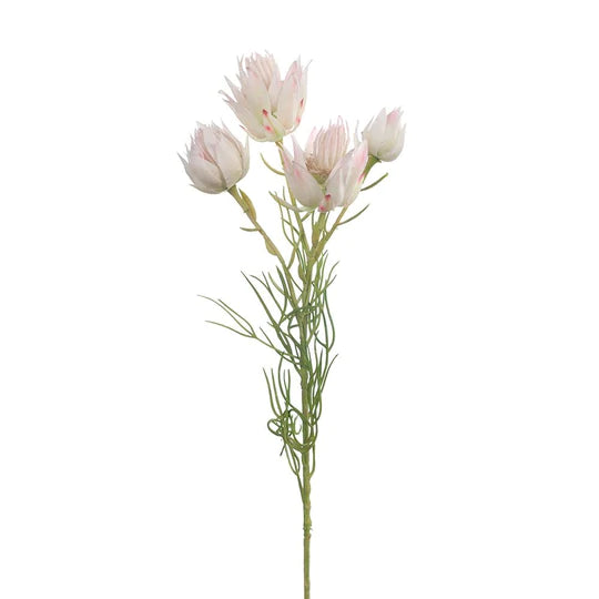 Blushing Bride Spray Cream Pink (53cml)