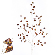 Ronis Crystal Pick 70cm Bronze