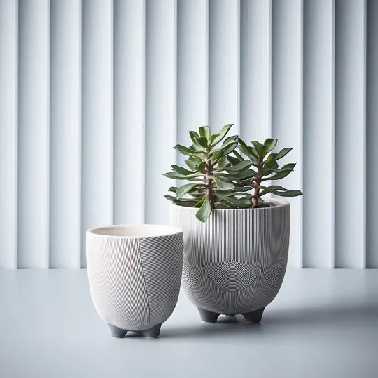 Succulent in Pot Green 18cmw x 20cmh