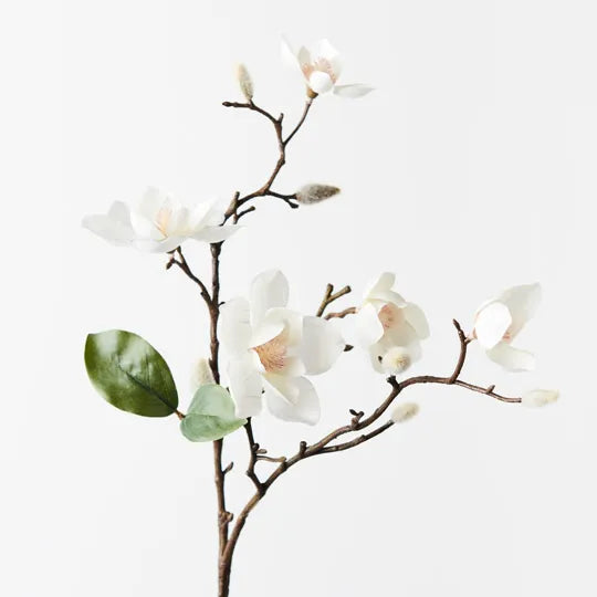 Magnolia Japanese Spray White 66cml