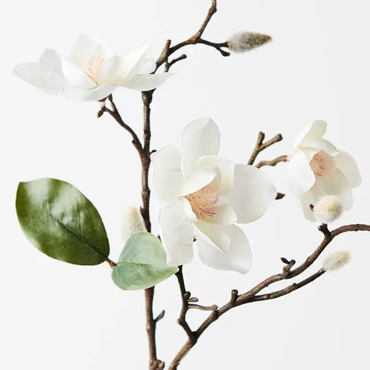 Magnolia Japanese Spray White 66cml