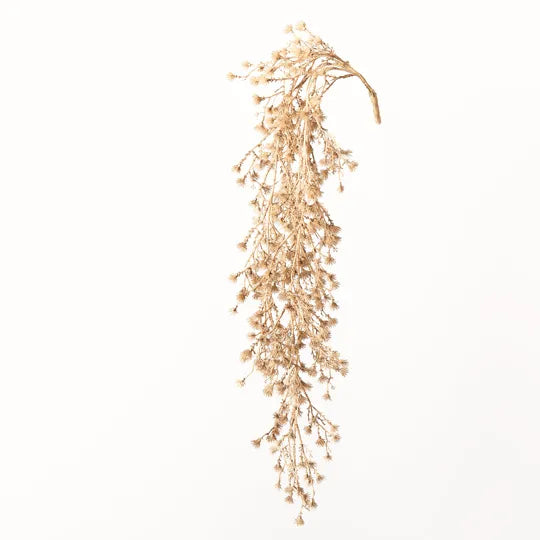 Stirlingia Hanging Bush Almond 74cml