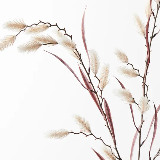 Dogtail Grass Spray Cream 81cml