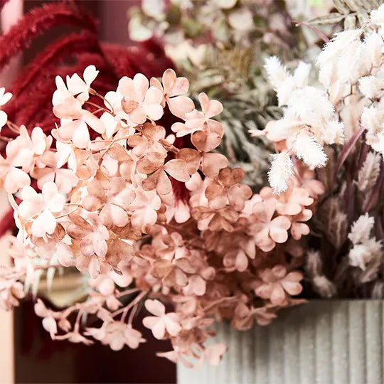 Dogtail Grass Spray Cream 81cml